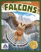 Connor Stratton - Falcons