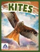 Connor Stratton - Kites