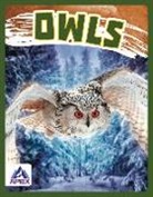 Golriz Golkar - Owls