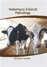 Georgiana Baldwin - Veterinary Clinical Pathology