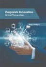 Hugo Hodges - Corporate Innovation: Global Perspectives