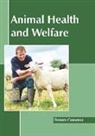 Dennis Cameron - Animal Health and Welfare