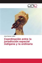 Jimai Montiel Calles - Coordinación entre la jurisdicción especial indígena y la ordinaria