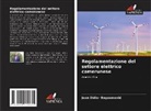 Jean Didier Begoumenié - Regolamentazione del settore elettrico camerunese