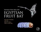 Raya Eilam-Altstadter, Raya/ Las Eilam-altstadter, Liora Las, Nachum Ulanovsky, Menno Witter - Stereotaxic Brain Atlas of the Egyptian Fruit Bat