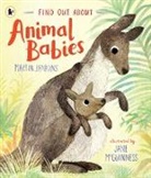 Martin Jenkins, Jenkins Martin, Jane McGuinness - Find Out About ... Animal Babies