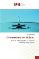 Fraj Echouchene - Cinématique des fluides