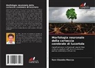 Ram Chandra Maurya - Morfologia neuronale della corteccia cerebrale di lucertola