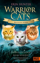 Erin Hunter, Alexandra Baisch - Warrior Cats - Mystische Spuren