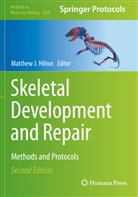 Matthew J. Hilton, Matthe J Hilton, Matthew J Hilton - Skeletal Development and Repair