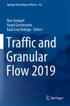 Raúl Cruz Hidalgo, Ange Garcimartín, Angel Garcimartín, Iker Zuriguel - Traffic and Granular Flow 2019