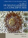 Lucinda L. Veeck, Veeck Lucinda L. - An Atlas of Human Gametes and Conceptuses