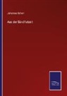 Johannes Scherr - Aus der Sündflutzeit