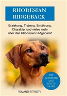 Roland Berger - Rhodesian Ridgeback