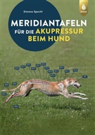 Simone Specht - Meridiantafeln für die Akupressur beim Hund
