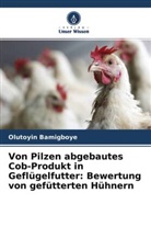 Olutoyin Bamigboye - Von Pilzen abgebautes Cob-Produkt in Geflügelfutter: Bewertung von gefütterten Hühnern