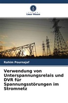 Rahim Pournajaf - Verwendung von Unterspannungsrelais und DVR für Spannungsstörungen im Stromnetz