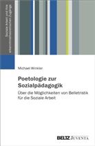 Michael Winkler - Poetologie zur Sozialpädagogik