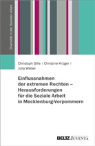 Christoph Gille, Christine Krüger, Júlia Wéber, Christoph Gille, Christine Krüger, Júli Wéber... - Einflussnahmen der extremen Rechten - Herausforderungen für die Soziale Arbeit in Mecklenburg-Vorpommern