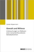 Carsten Wippermann - Gewalt und Milieus
