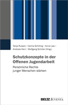 Andreas Herz, Anna Lips, Anna Lips u a, Tanja Rusack, Carina Schilling, Wolfgang Schröer - Schutzkonzepte in der Offenen Jugendarbeit