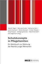 Jörg M. Fegert, Manuela Gulde, Katharina Henn, Katharina Henn u a, Laura Husmann, Meike Kampert... - Schutzkonzepte in Pflegefamilien