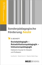 Ines Budnik, Marek Grummt, Stephan Sallat - Sonderpädagogik - Rehabilitationspädagogik - Inklusionspädagogik
