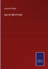 Johannes Scherr - Aus der Sündflutzeit