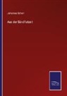 Johannes Scherr - Aus der Sündflutzeit