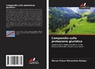 Marius-Trésor Mimolokwa Madigo - Compendio sulla protezione giuridica