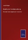 Joseph Dienger - Grundriss der Variationsrechnung