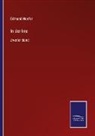 Edmund Hoefer - In der Irre