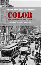 James Weldon Johnson - Color - Ein amerikanisches Leben