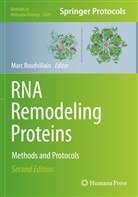 Mar Boudvillain, Marc Boudvillain - RNA Remodeling Proteins