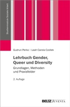 Leah Carola Czollek, Gudrun Perko - Lehrbuch Gender, Queer und Diversity