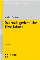 Constantin Cantzler, Thoma Krodel, Thomas Krodel - Das sozialgerichtliche Eilverfahren