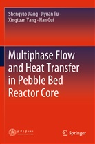 Nan Gui, Shengya Jiang, Shengyao Jiang, Jiyua Tu, Jiyuan Tu, Xingtuan Yang... - Multiphase Flow and Heat Transfer in Pebble Bed Reactor Core