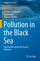 Tatian Chaplina, Tatiana Chaplina, Konstanti Pokazeev, Konstantin Pokazeev, Elen Sovga, Elena Sovga - Pollution in the Black Sea