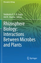 Vadakattu V. S. R. Gupta, K Sharma, K Sharma, Anil K. Sharma, Vadakatt V S R Gupta, Vadakattu V S R Gupta - Rhizosphere Biology: Interactions Between Microbes and Plants
