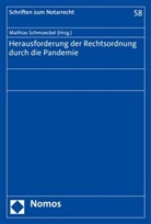 Andrea Albrecht (Dr.), Andreas Albrecht (Dr.), Wal Bayer (Prof. Dr.) u a, Mathia Schmoeckel, Mathias Schmoeckel - Herausforderung der Rechtsordnung durch die Pandemie