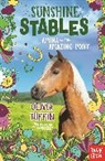 Olivia Tuffin, Tuffin Olivia, Jo Goodberry, Goodberry Jo - Sunshine Stables: Amina and the Amazing Pony