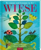 Patricia Hegarty, Britta Teckentrup - Es summt und brummt in der WIESE