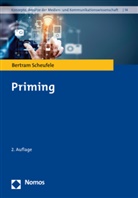 Bertram Scheufele - Priming