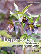 Matthias Thomsen - Lenzrosen