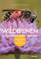 Angela K Niebel-Lohmann, Angela K. Niebel-Lohmann - Wildbienen artgerecht unterstützen