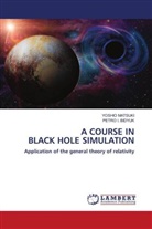PETRO I. BIDYUK, YOSHIO MATSUKI - A COURSE IN BLACK HOLE SIMULATION