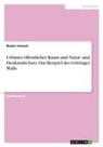 Bauke Janssen - Urbaner öffentlicher Raum und Natur- und Denkmalschutz. Das Beispiel des Göttinger Walls