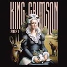 King Crimson - Music Is Our Friend-Live in Washington and Alban (Hörbuch)