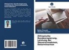 Abebahu Kassiye, Bela Zewude, Belay Zewude - Äthiopische Bundesregierung, Leistung der Steuereinnahmen, Determinanten