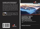 Matthieu Goudineau - La posta in gioco finanziaria del biocarburante nell'aeronautica